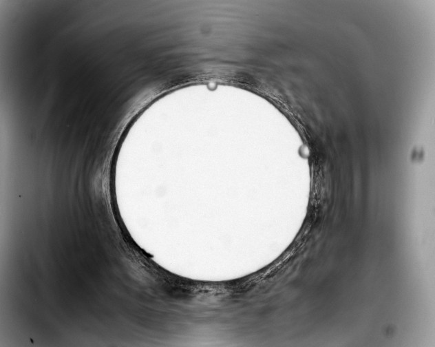 X0000103900099200810101254