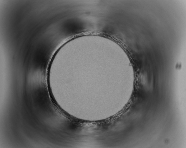 X0000103900100200810101254