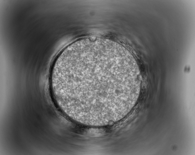 X0000103900101200810101254