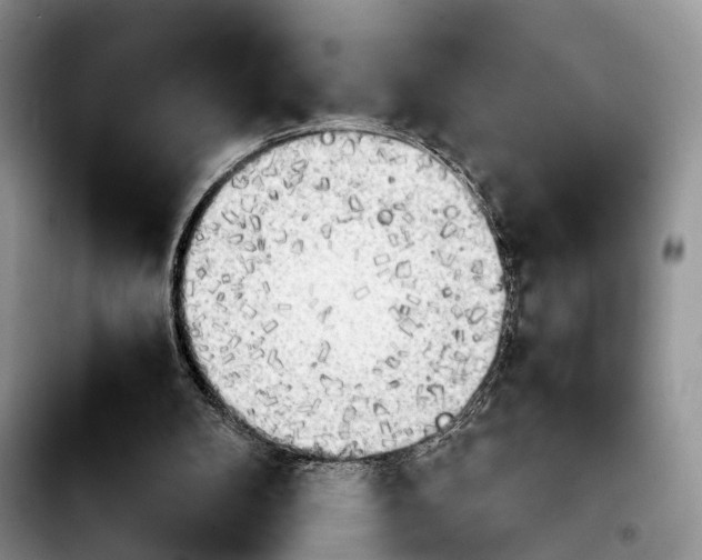 X0000103900104200810101254