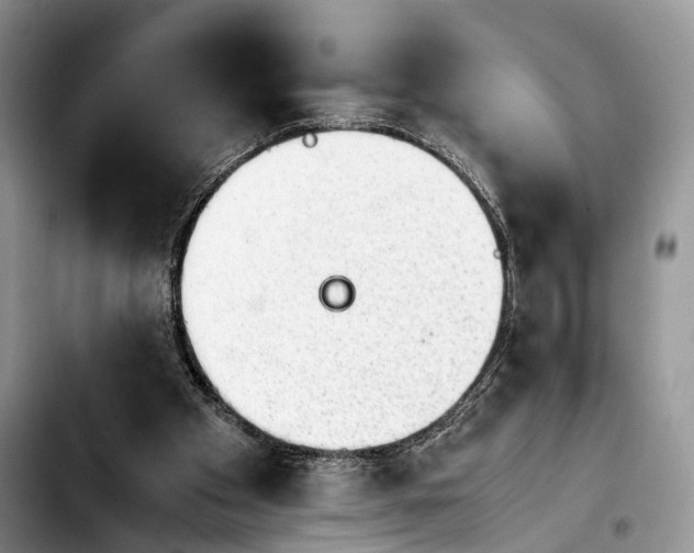 X0000103900105200810101254