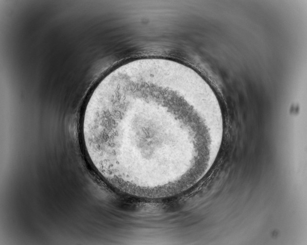 X0000103900107200810101254