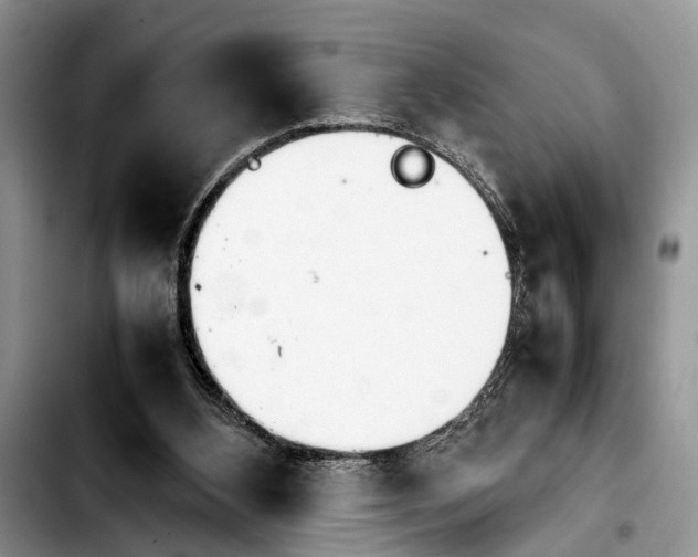 X0000103900108200810101254