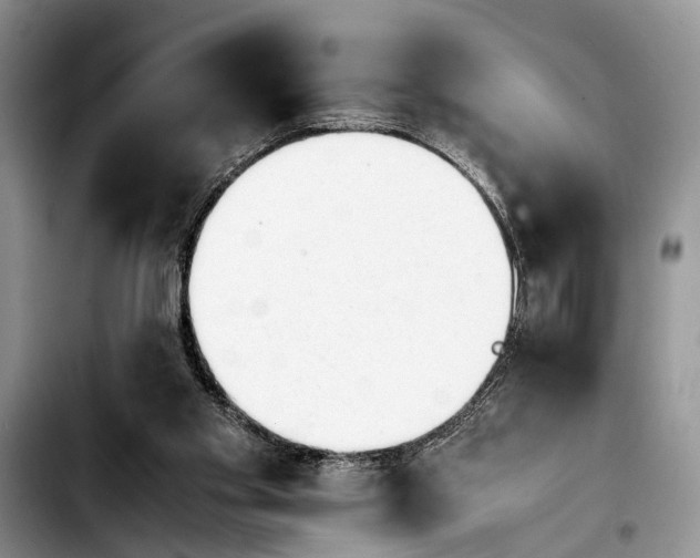 X0000103900109200810101254