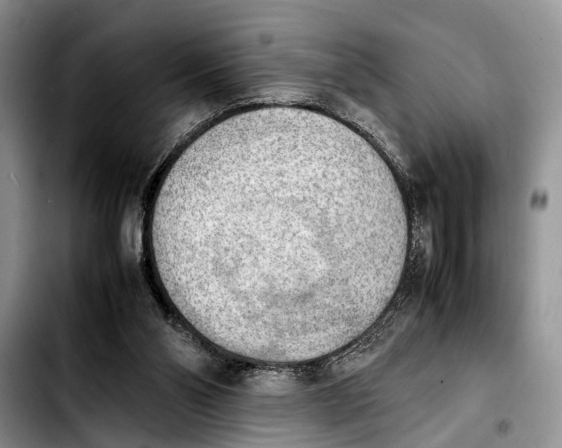 X0000103900110200810101254