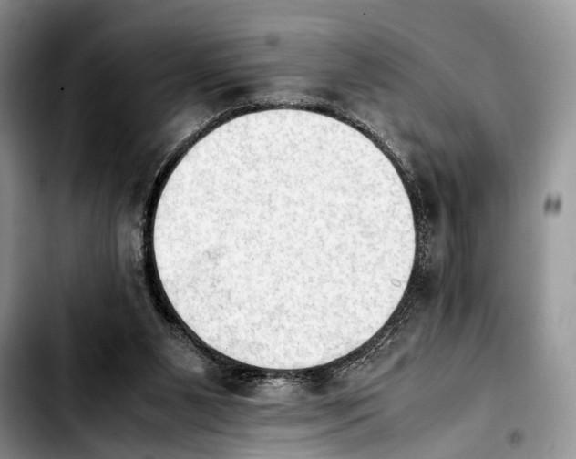 X0000103900111200810101254