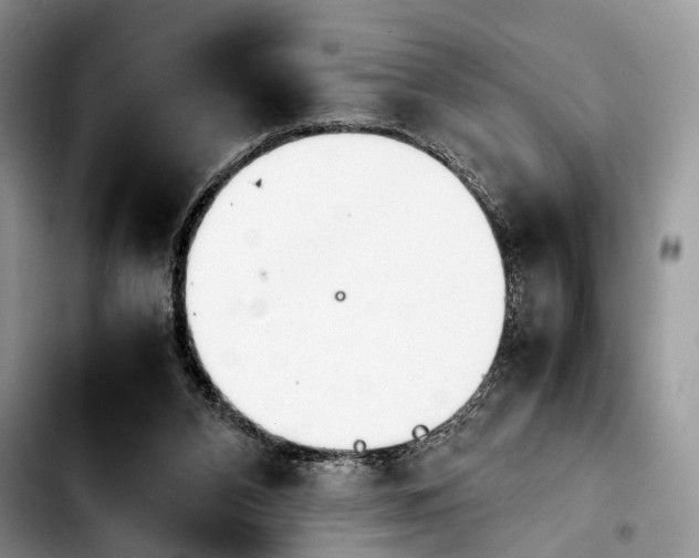 X0000103900112200810101254