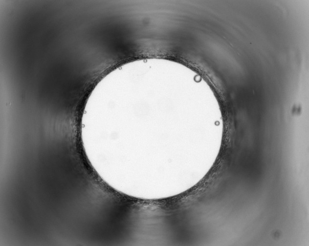 X0000103900113200810101254