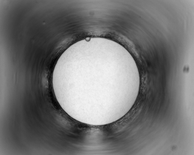 X0000103900114200810101254