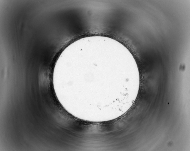 X0000103900116200810101254