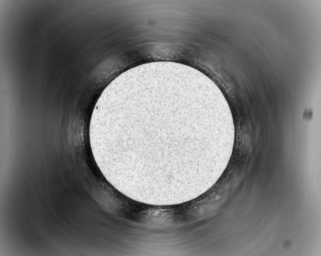 X0000103900117200810101254