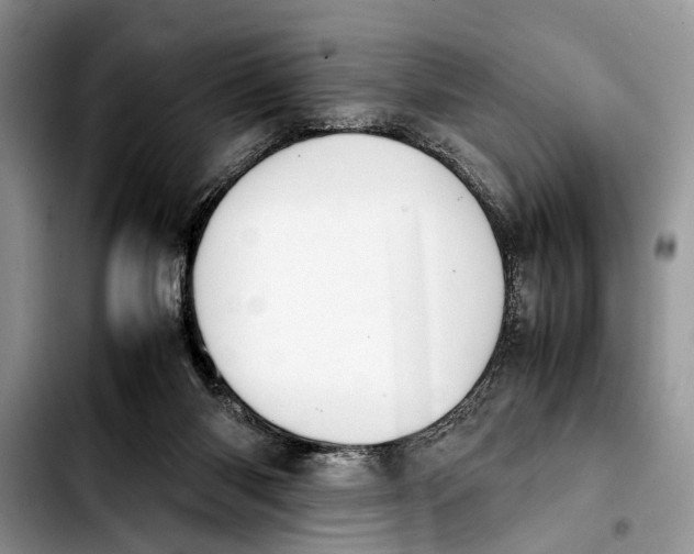 X0000103900118200810101254