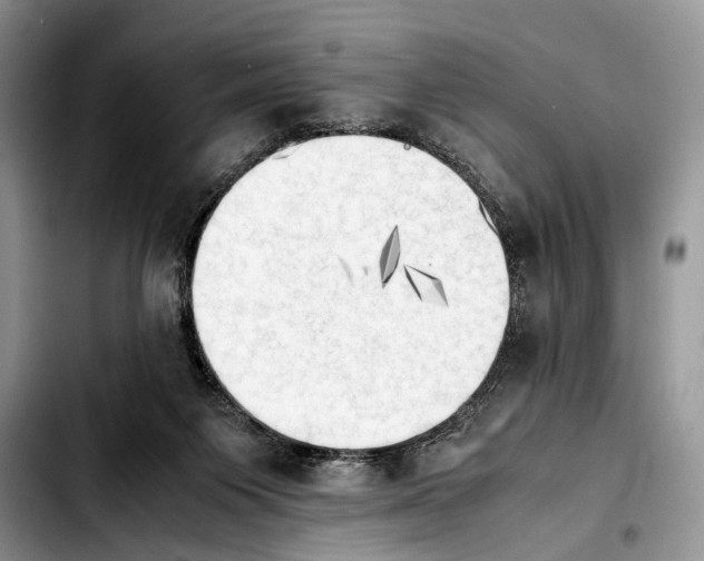 X0000103900119200810101254