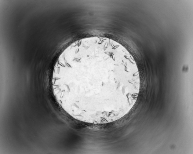 X0000103900120200810101254