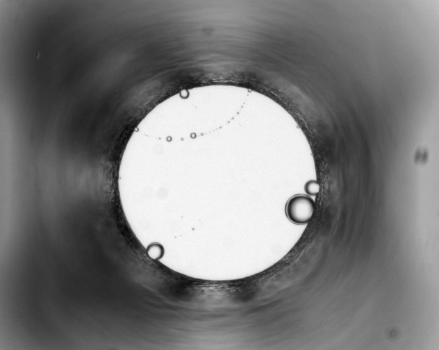 X0000103900121200810101254