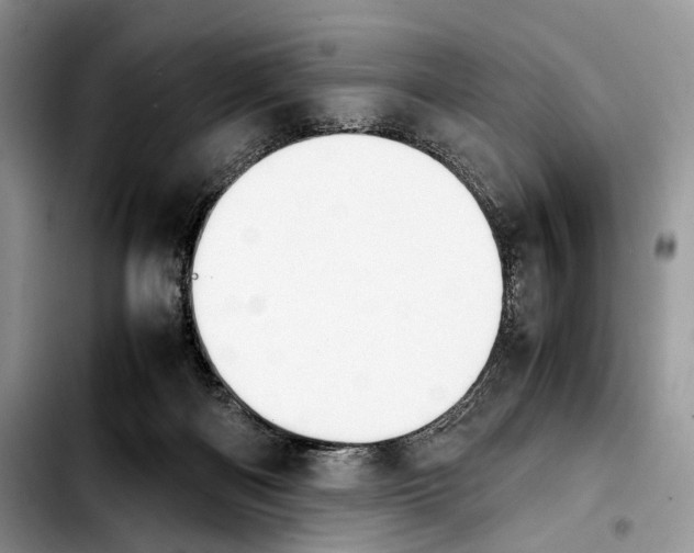 X0000103900122200810101254