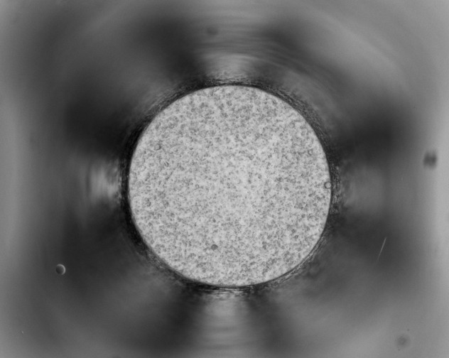 X0000103900124200810101254