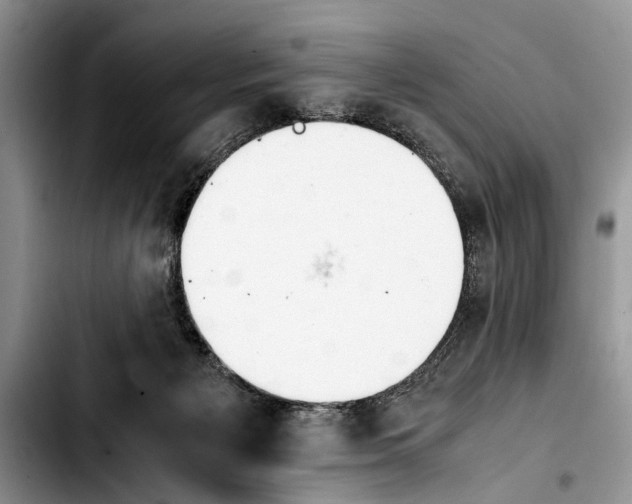 X0000103900125200810101254