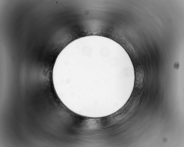 X0000103900126200810101254