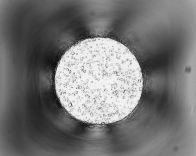 X0000103900128200810101254