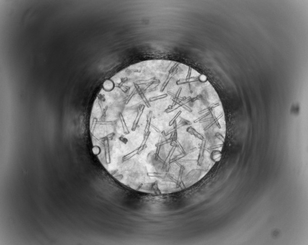 X0000103900131200810101254