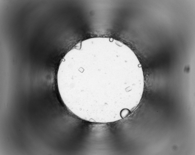 X0000103900132200810101254