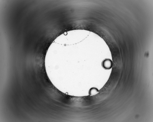 X0000103900133200810101254