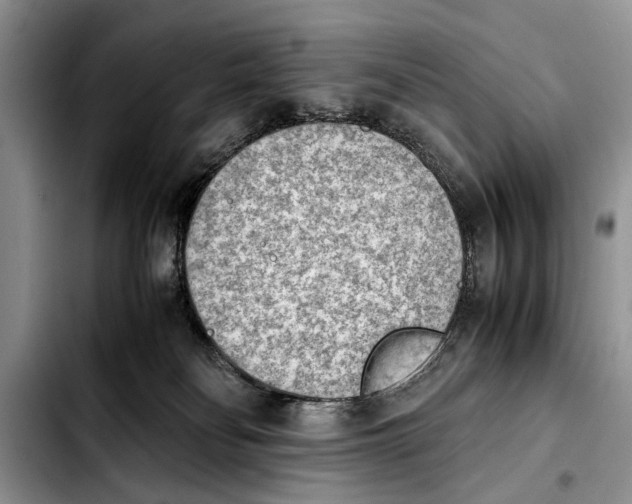 X0000103900134200810101254