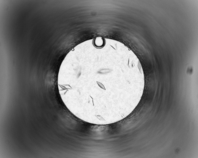 X0000103900135200810101254