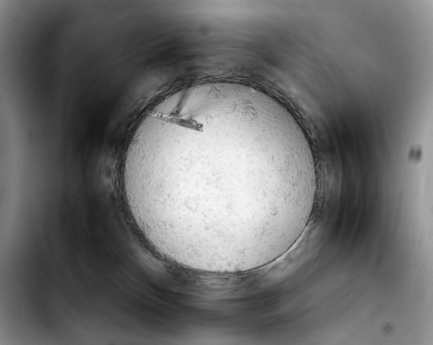 X0000103900136200810101254