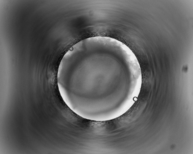 X0000103900139200810101254