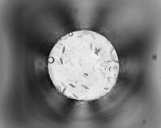 X0000103900140200810101254