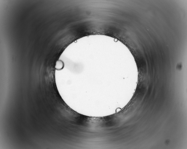 X0000103900141200810101254