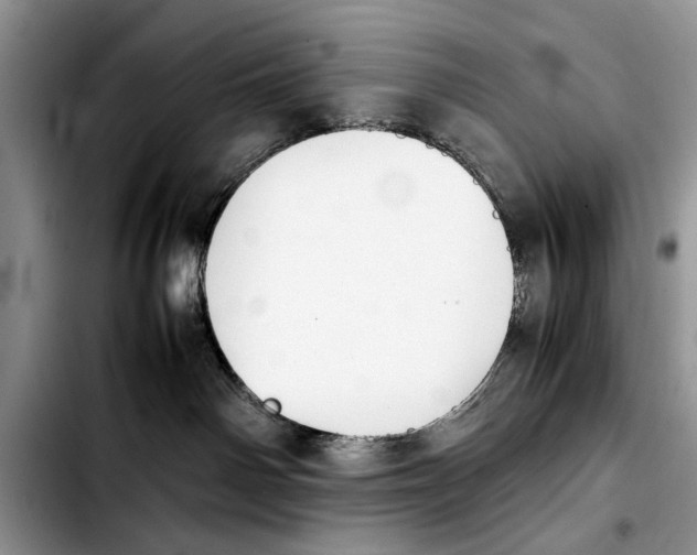 X0000103900142200810101254