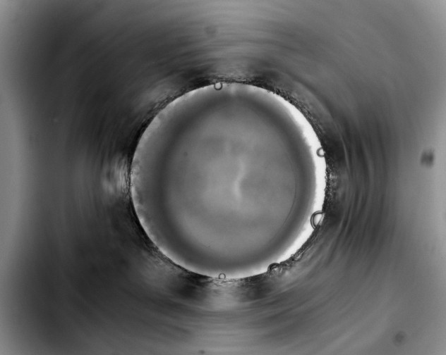 X0000103900143200810101254