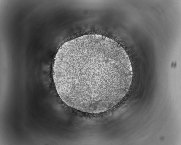 X0000103900144200810101254