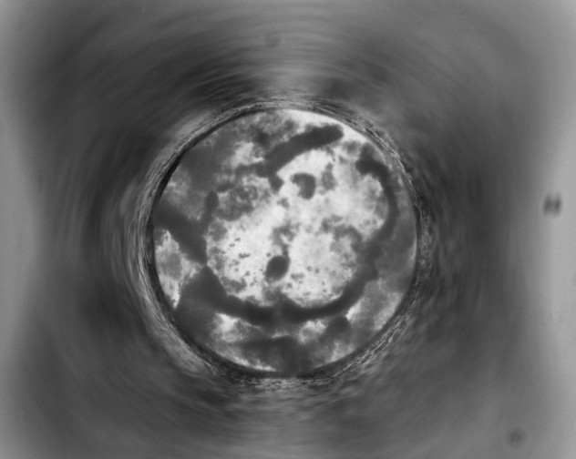 X0000103900145200810101253