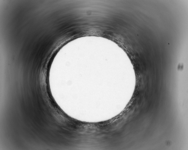 X0000103900146200810101253