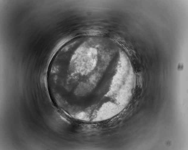 X0000103900147200810101253