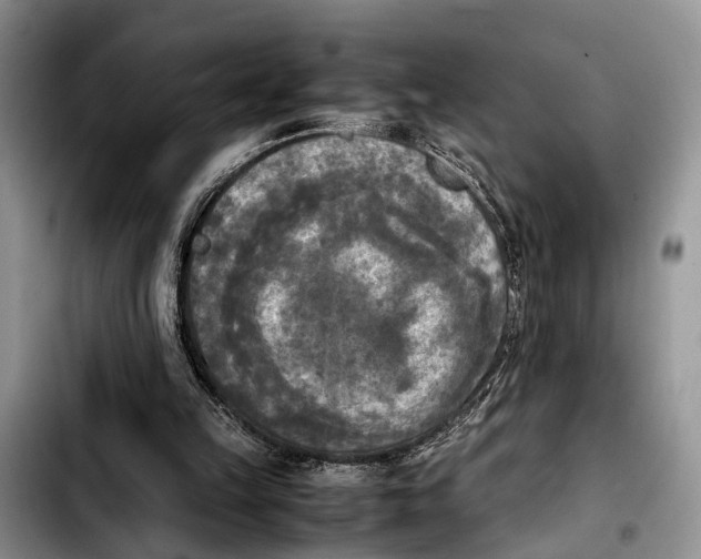 X0000103900149200810101253