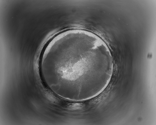 X0000103900151200810101253