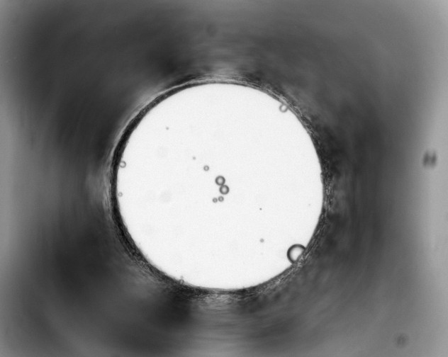 X0000103900152200810101253