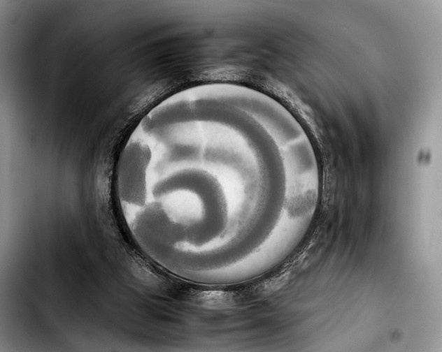 X0000103900153200810101253