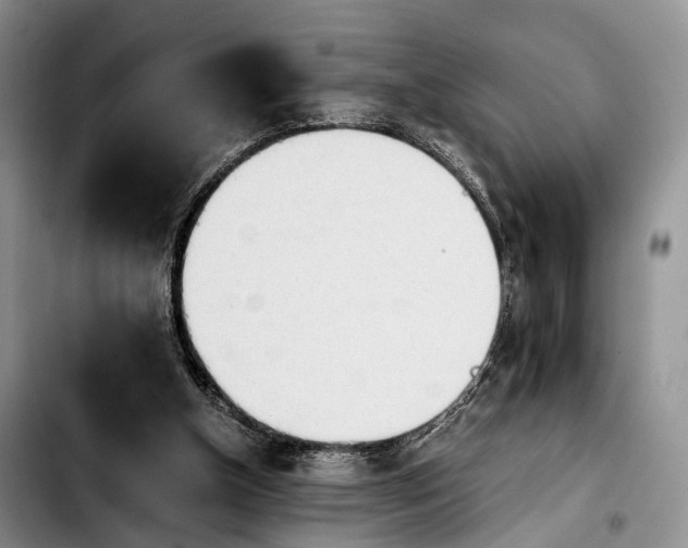 X0000103900154200810101253