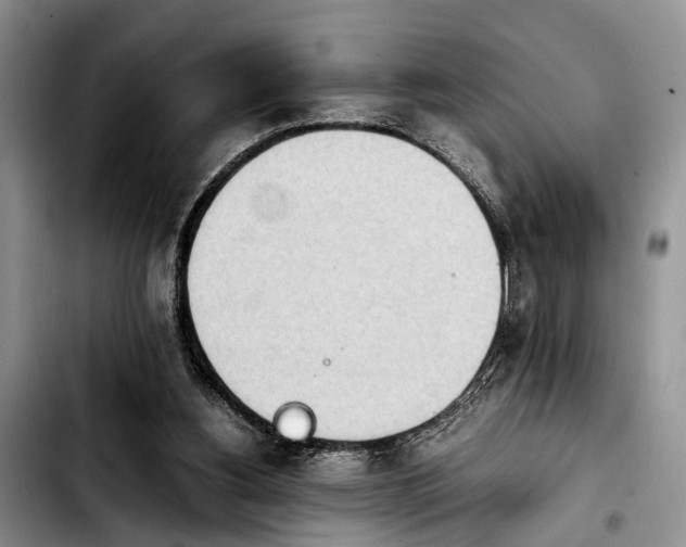 X0000103900156200810101253