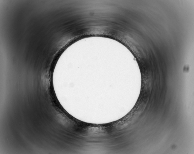 X0000103900160200810101253