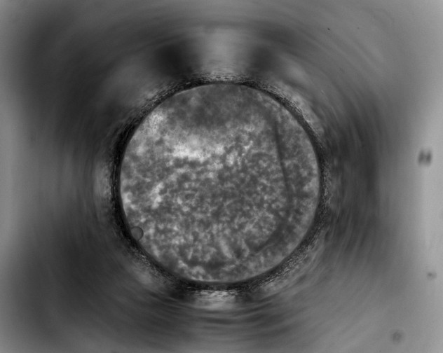 X0000103900161200810101253