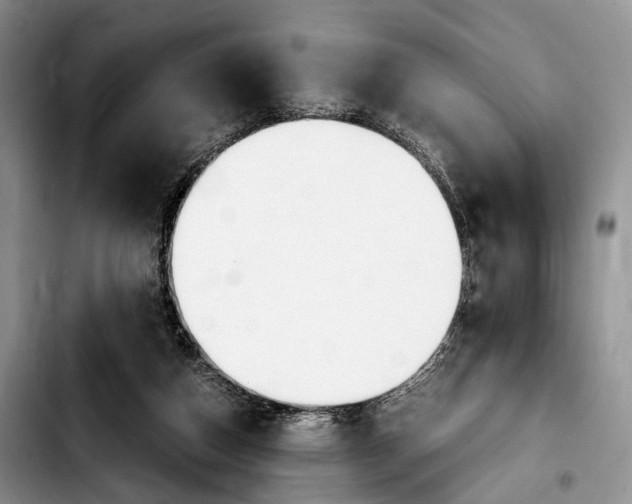 X0000103900162200810101253