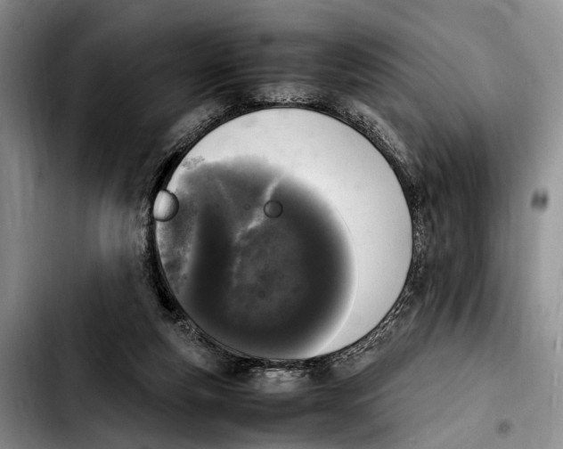 X0000103900163200810101253