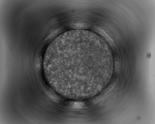 X0000103900165200810101253